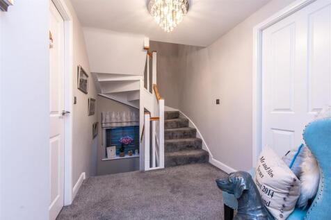10 poppy close-hi-37.jpg