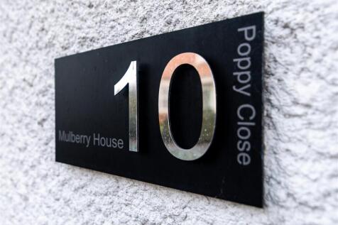 10 poppy close-hi-38.jpg