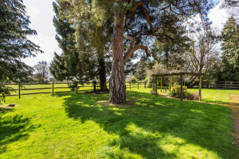 Communal gardens 1.jpg