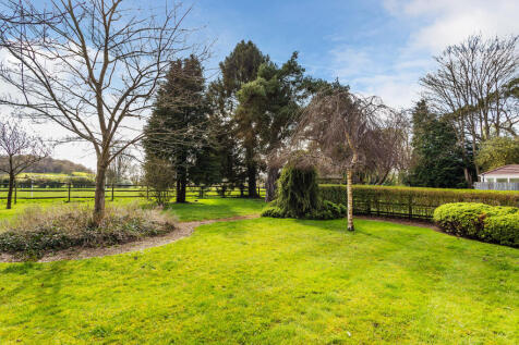 Communal gardens 1.jpg