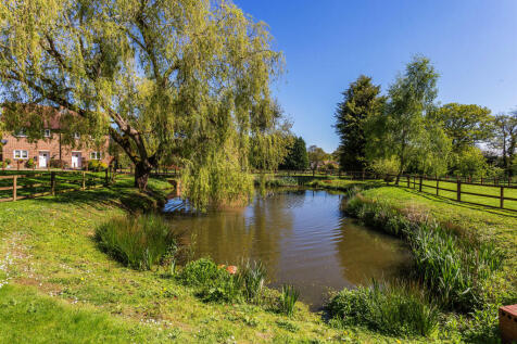 Communal Pond Area