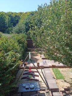 birdseye garden