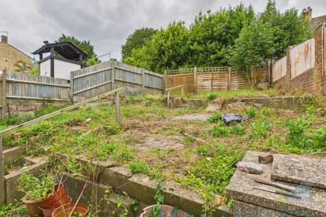 Garden Pic 2