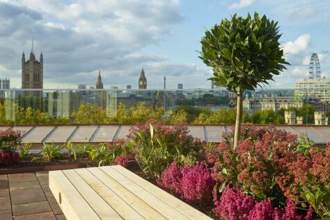 Roof Terrace 2.jpg
