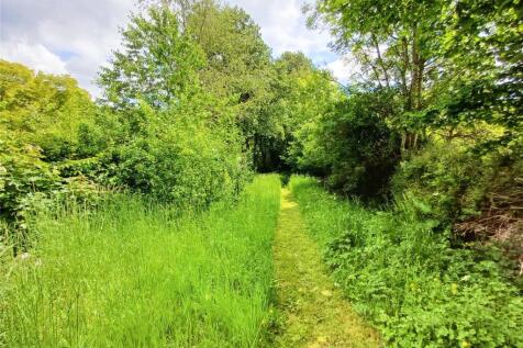 Wild Garden &amp; Wood