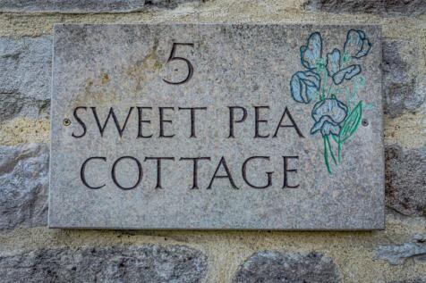 Sweet Pea!
