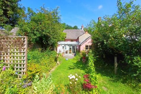 Lovely Garden