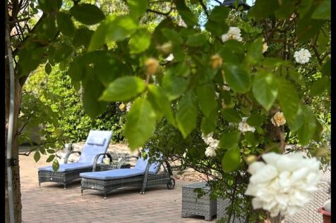 Sun Terrace