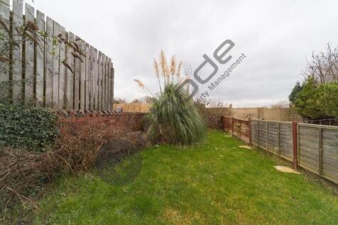 Back Garden