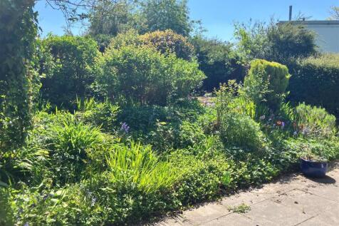 new rear garden.jpg