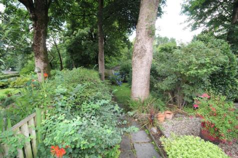 IMG_8890.JPG