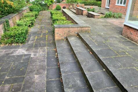 garden 5.jpg