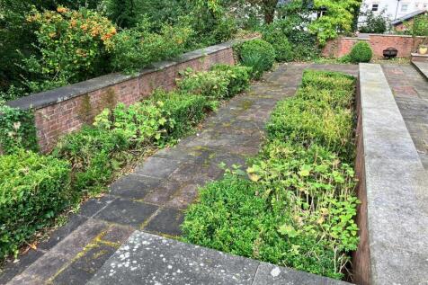 garden 4.jpg