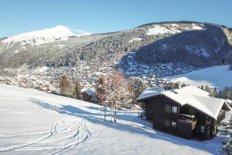 Ski Back Home