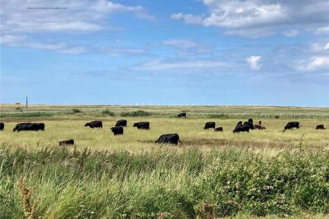 Cley Marshes Summer