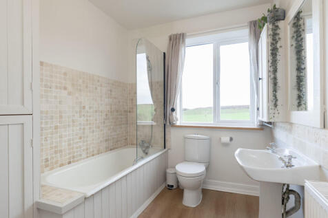 8 Guestriss Cotta...