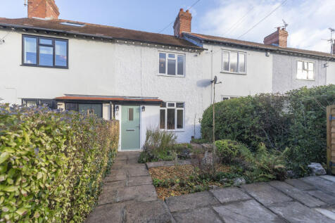 8 Guestriss Cotta...