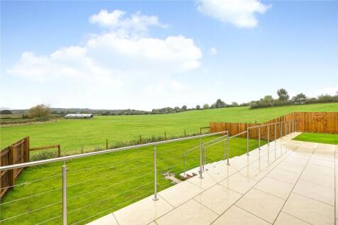 Plot 3 Garden