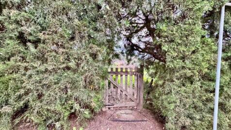 Property Image 33