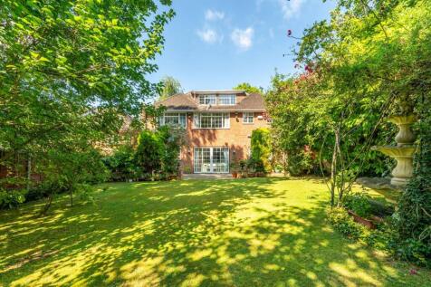 Property Image 6