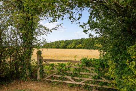 Property Image 41