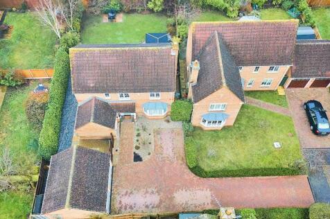 Crowhurst Gale 2025 DJI_20250116112028_0019_D.jpg