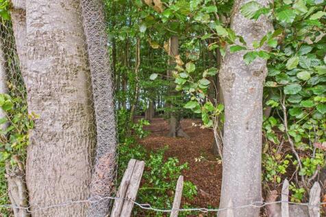Woodland