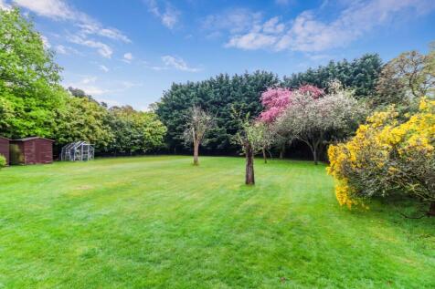 Grounds