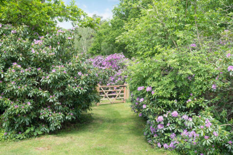Grounds