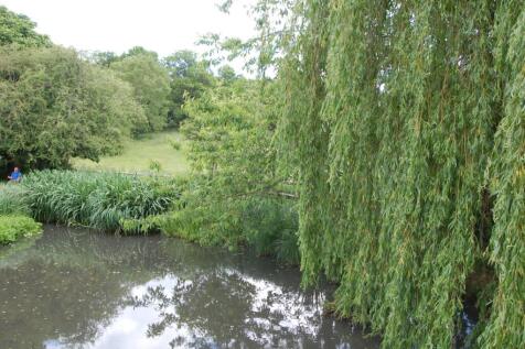Village Pond