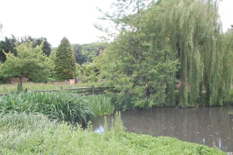 Village Pond
