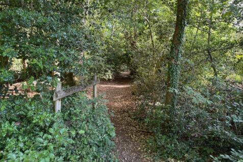 Burnham Beeches
