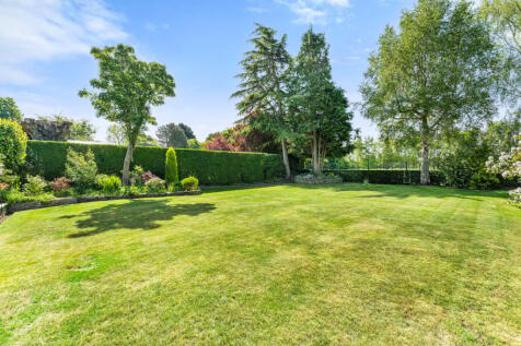 Property Image 59