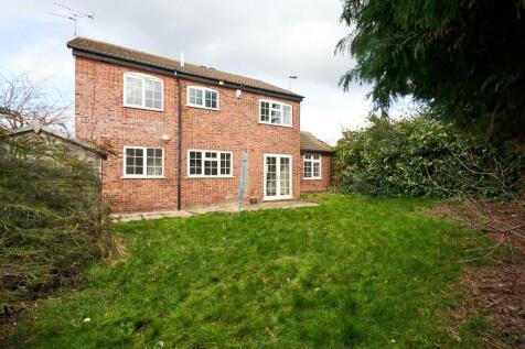 rear garden.jpg