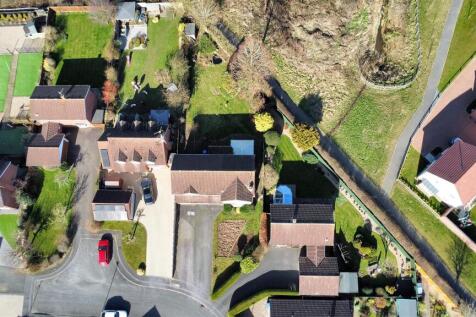 dji_fly_20250305_134140_433_1741182224945_photo_op