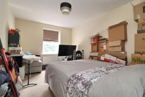 Picture 7