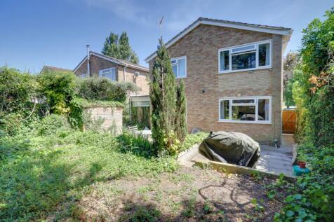 Property Image 26
