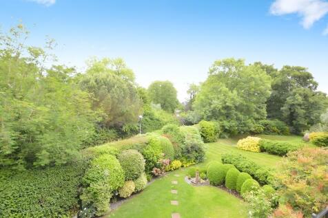 cc018b62-IMG_1779...