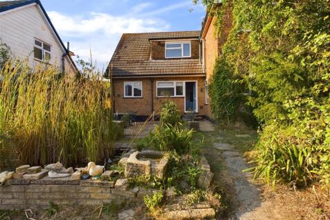 Back Garden 1
