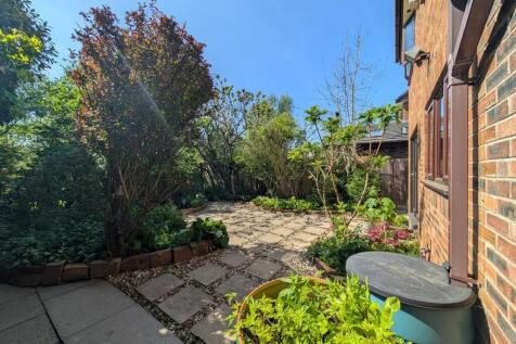 Back Garden 2.jpg