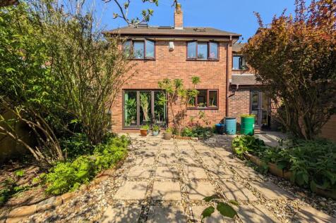 Back Garden 3.jpg