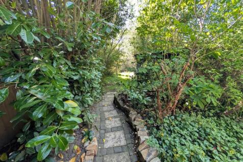 Back Garden 5.jpg