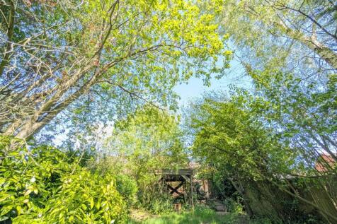 Back Garden 9.jpg