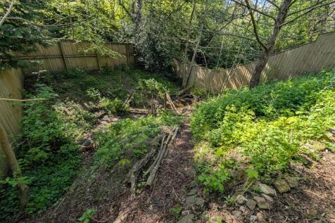 Back Garden 11.jpg