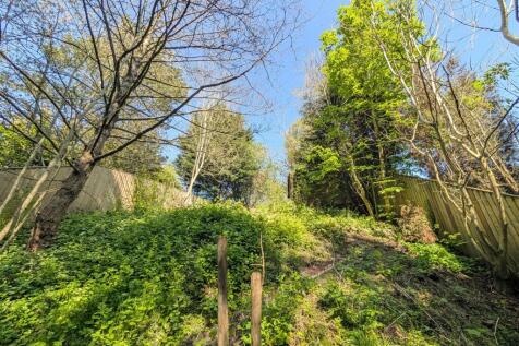 Back Garden 13.jpg