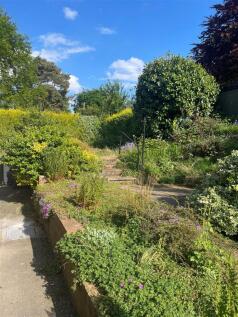 NEW GARDEN.jpg
