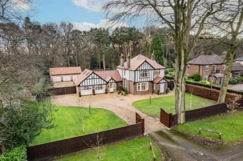 Property Image 45