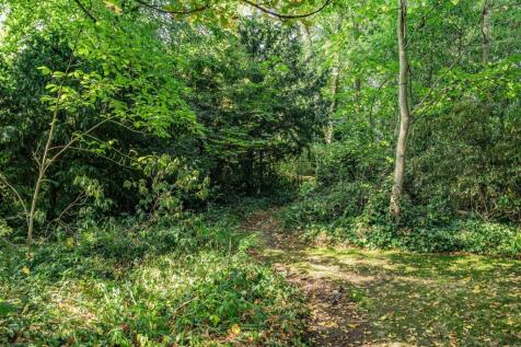 Property Image 52