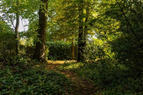 Property Image 53