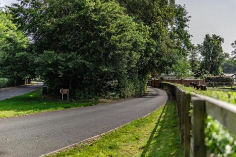 Property Image 60